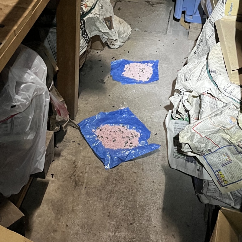 殺鼠剤を設置