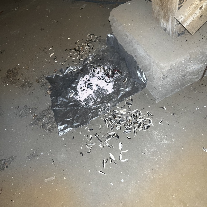 食べられた殺鼠剤