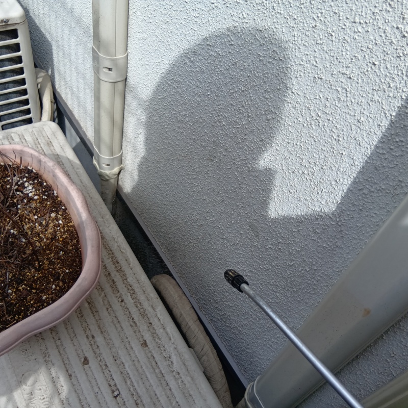 殺虫剤を散布