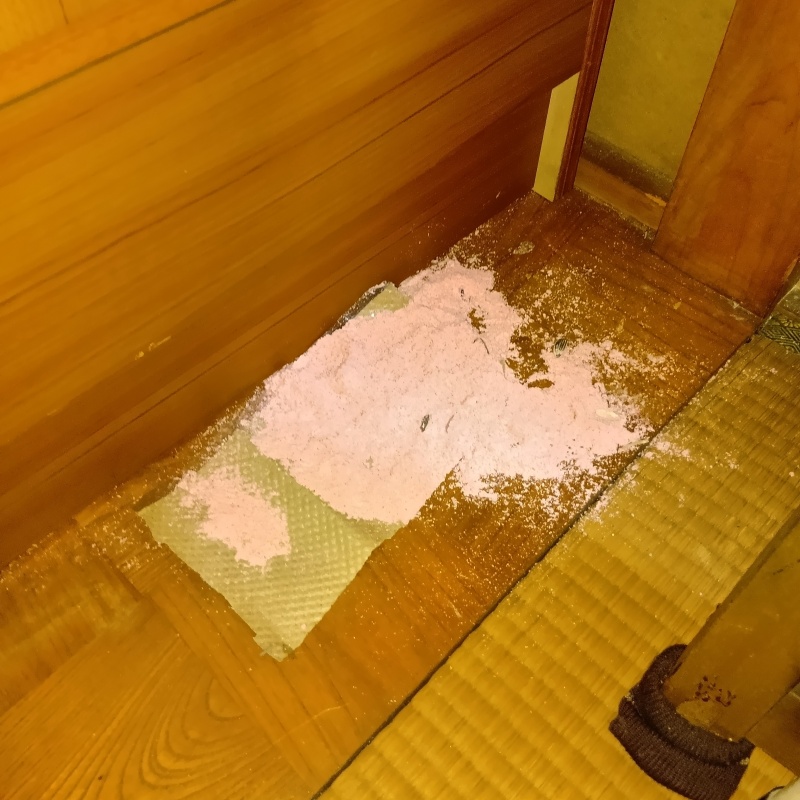 ネズミが殺鼠剤を食べたあと