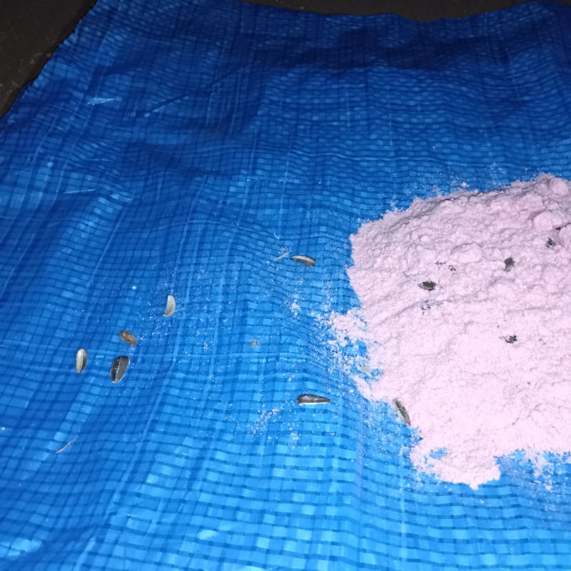 殺鼠剤を設置