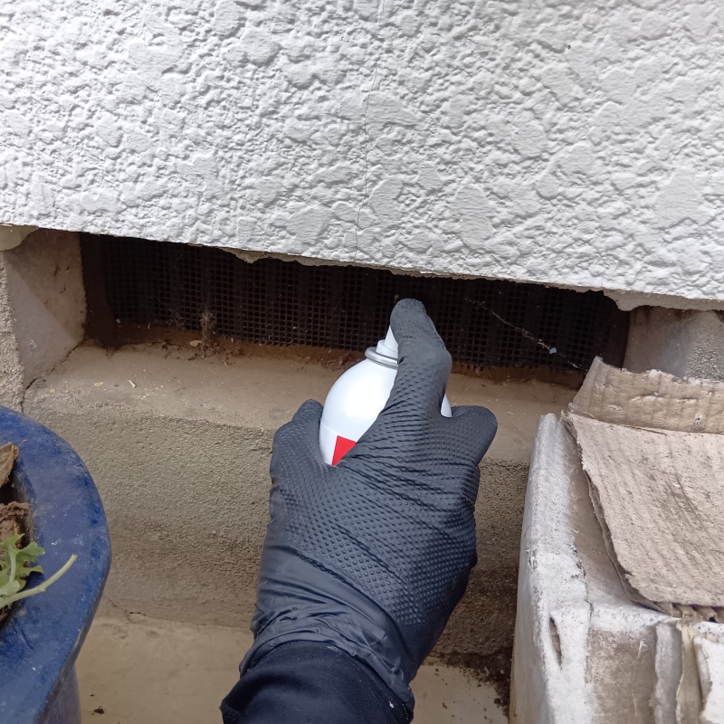 床下換気口から忌避剤をスプレー