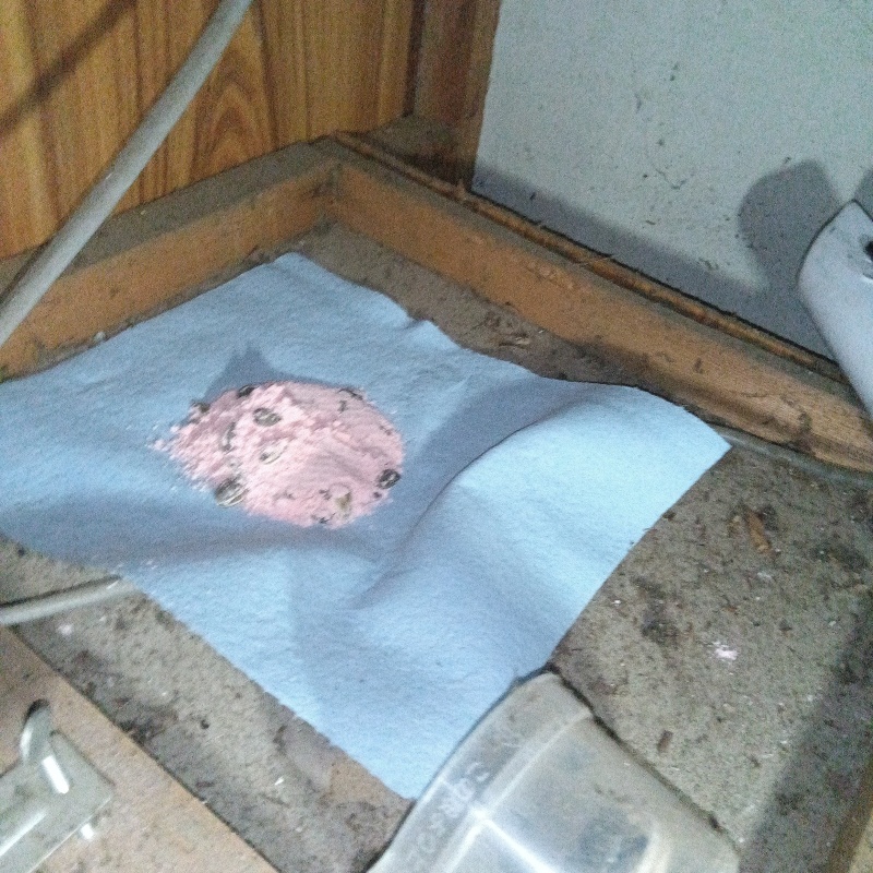 天井裏に殺鼠剤を設置