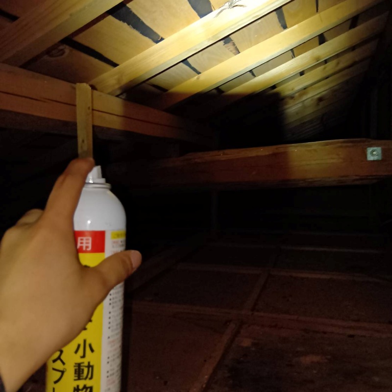 天井裏に忌避剤をスプレー