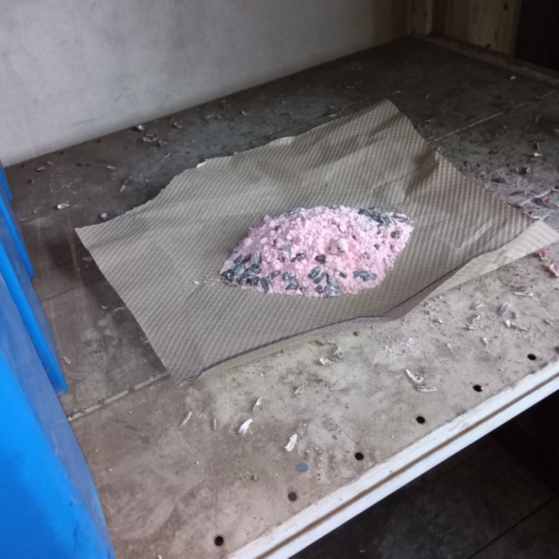 ネズミ駆除の施工事例（東京都練馬区向山）
