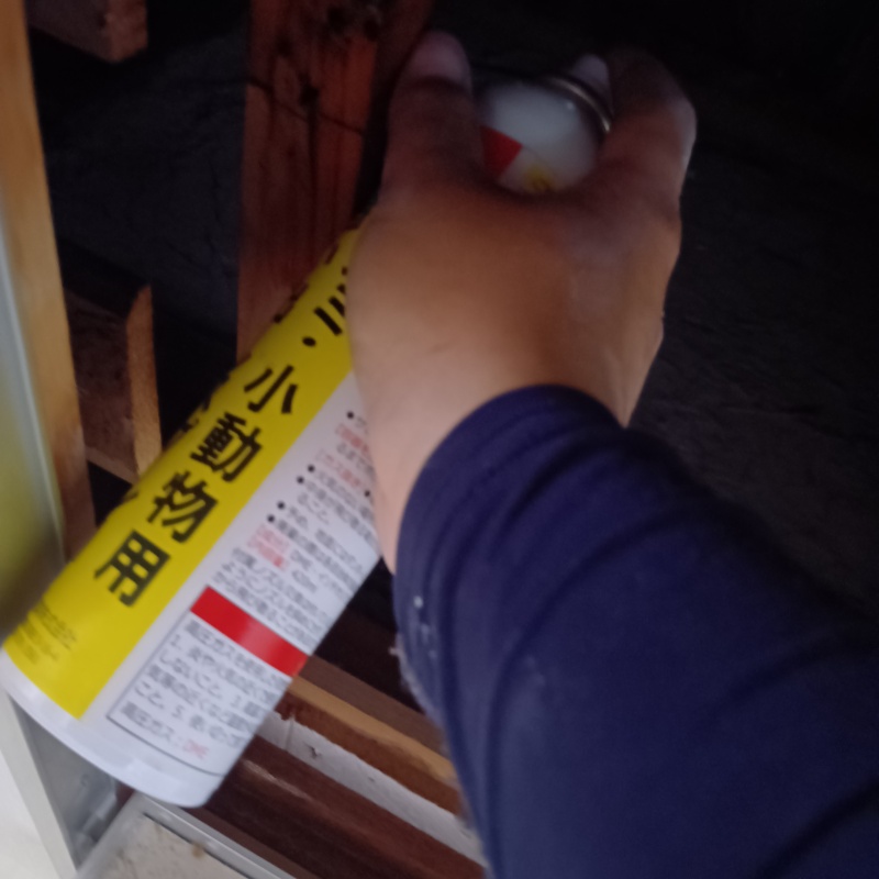 ハクビシン駆除の施工事例（大阪府八尾市服部川）