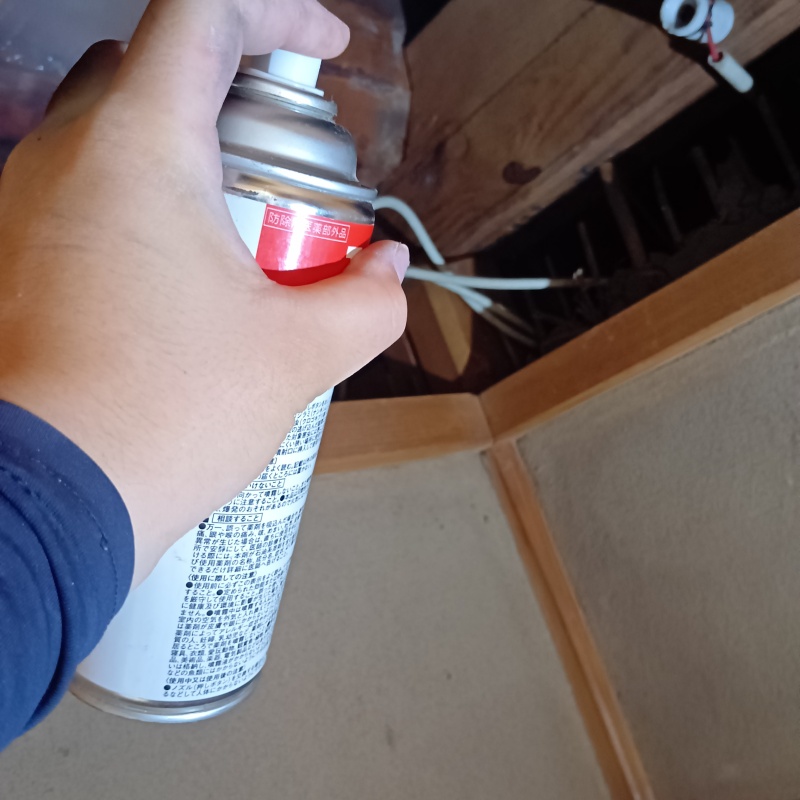 殺虫剤をスプレー