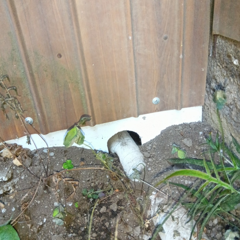 アライグマ駆除の施工事例（神奈川県横浜市泉区和泉中央南）