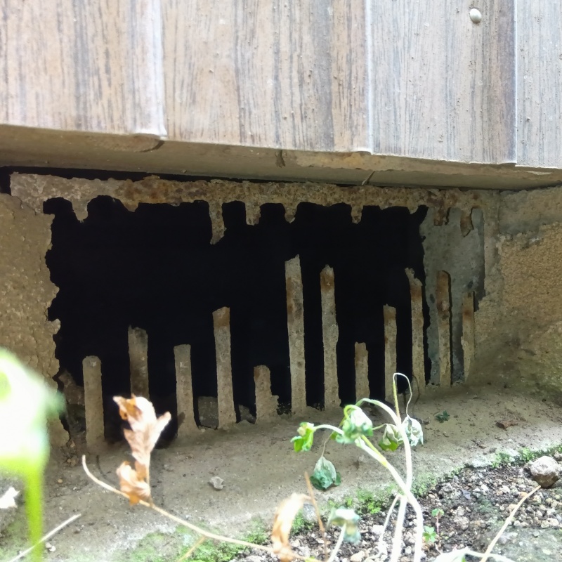 破損している床下換気口