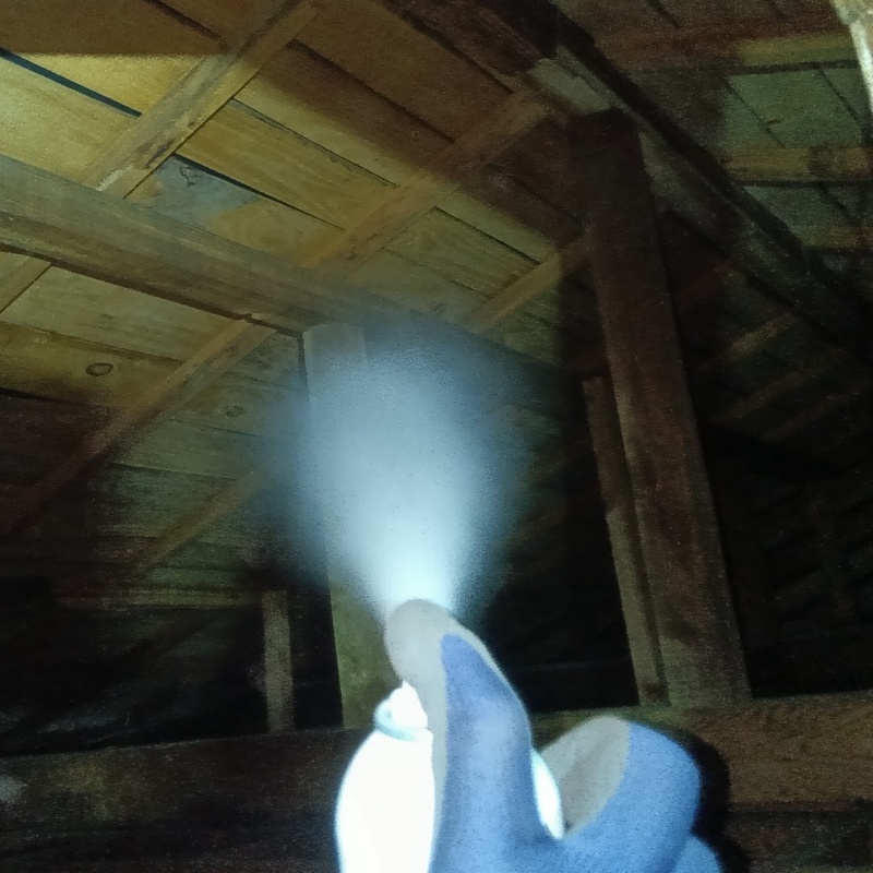 ネズミ駆除の施工事例（神奈川県綾瀬市寺尾台）