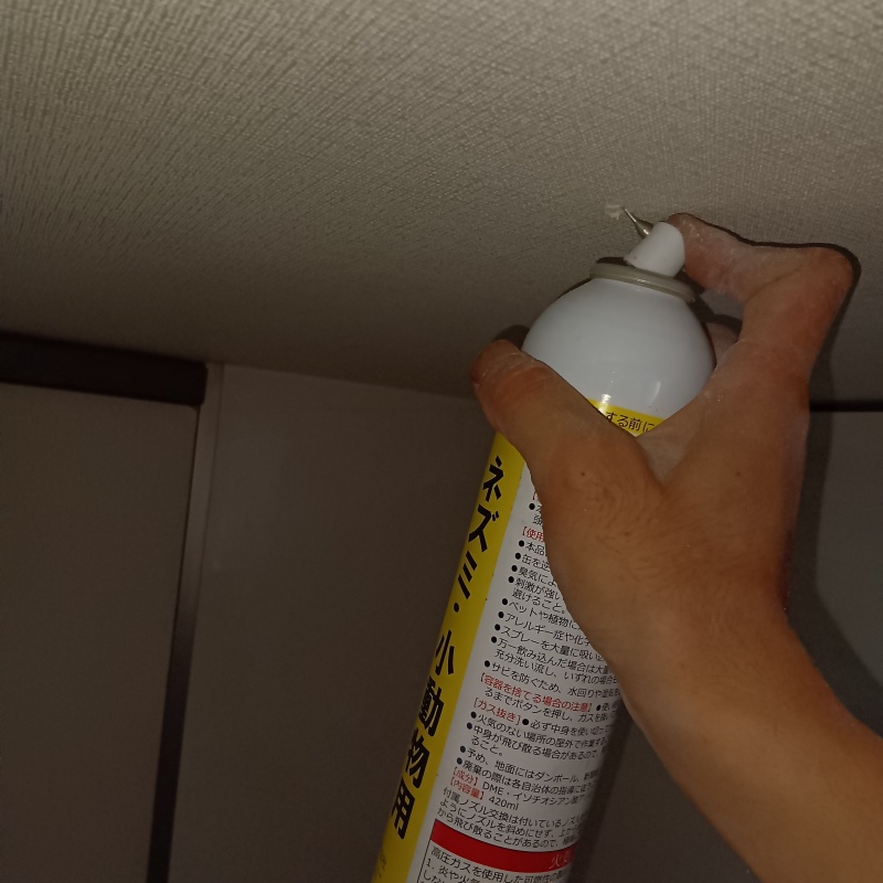 天井のすき間から忌避剤を注入