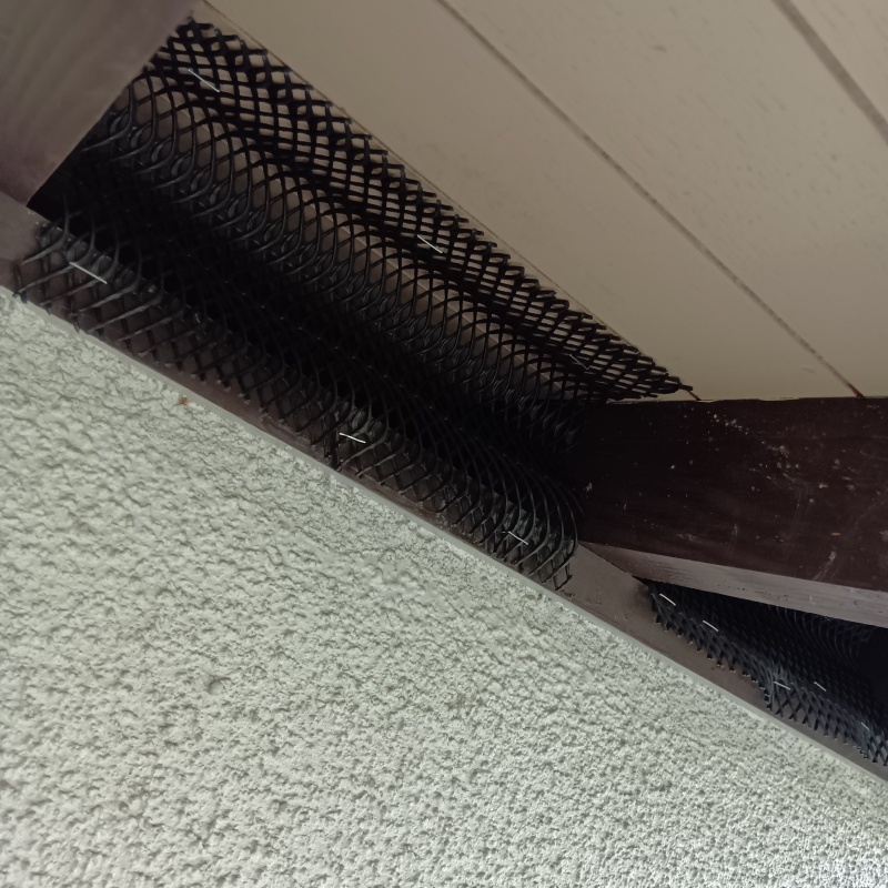 屋根のすき間をネットで封鎖