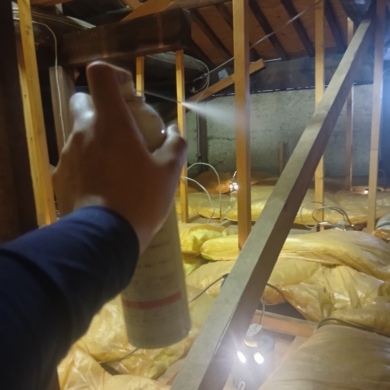 屋根裏に忌避剤をスプレー