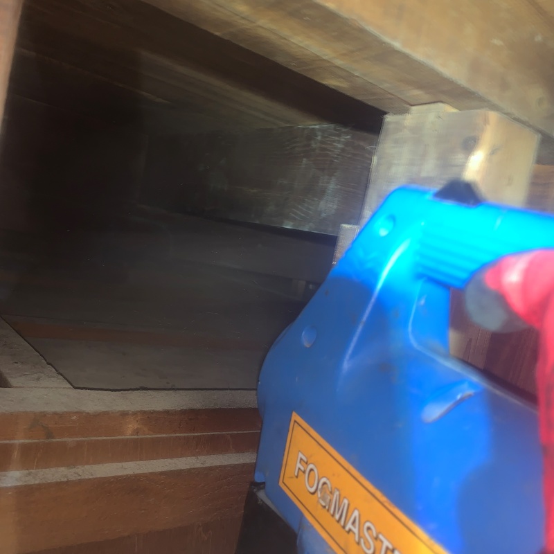 噴霧器で除菌・消臭剤を散布