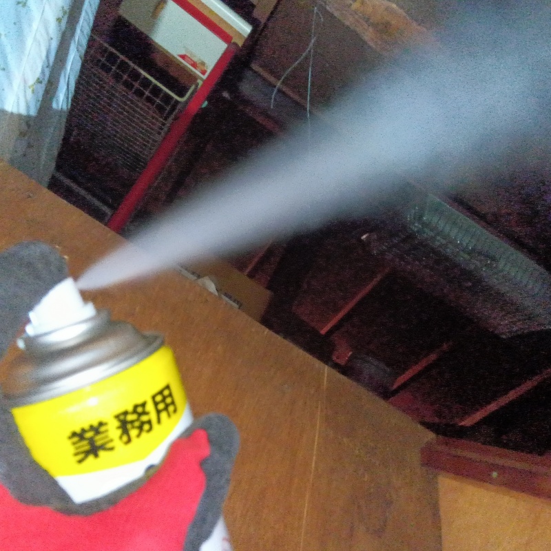 ハクビシン駆除の施工事例（東京都八王子市打越町）