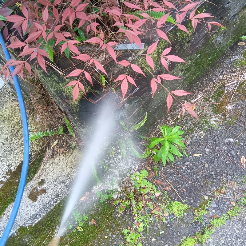 建物の外周にシロアリ駆除剤を散布