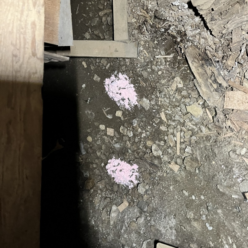 床下に殺鼠剤を設置