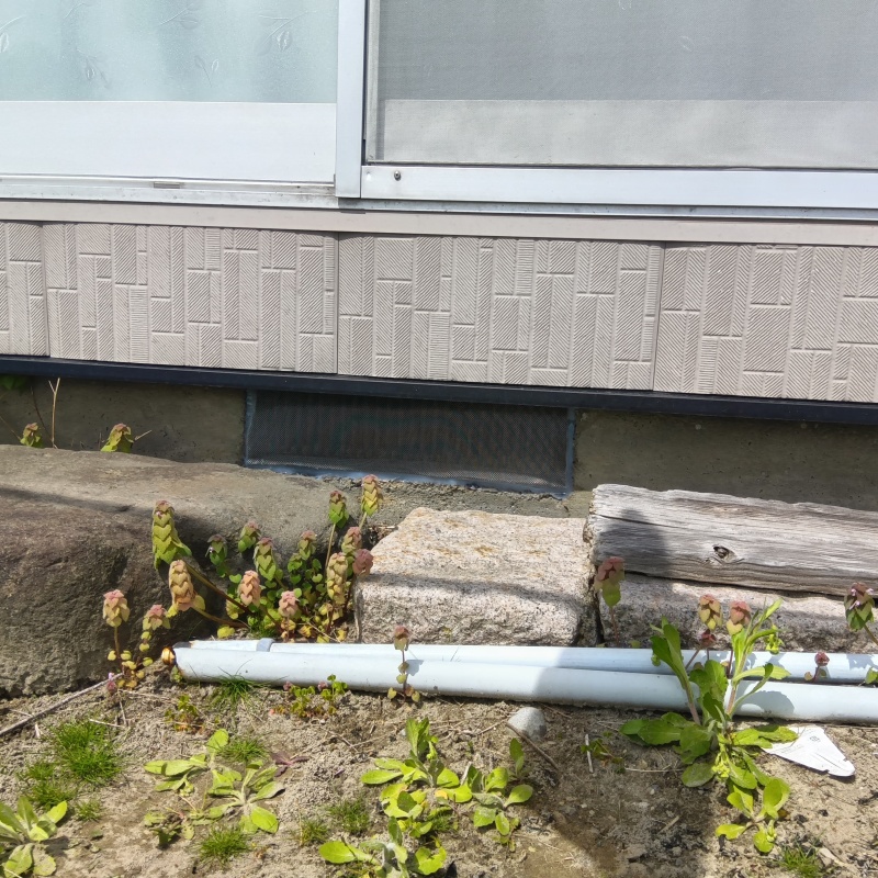 ネズミ駆除の施工事例（富山県南砺市院林）