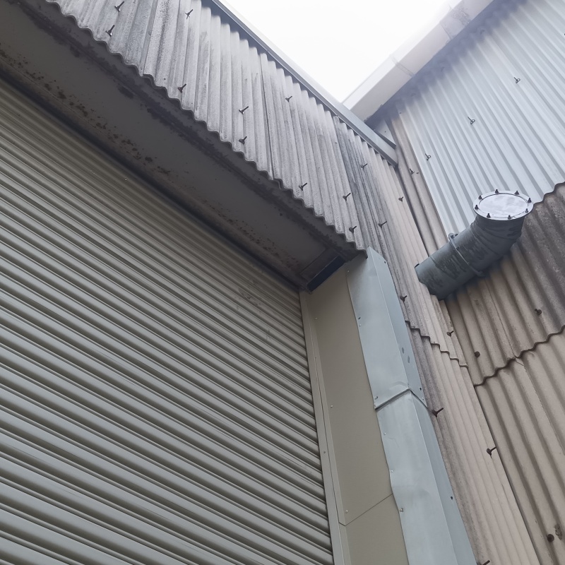 アライグマ駆除の施工事例（茨城県常総市）