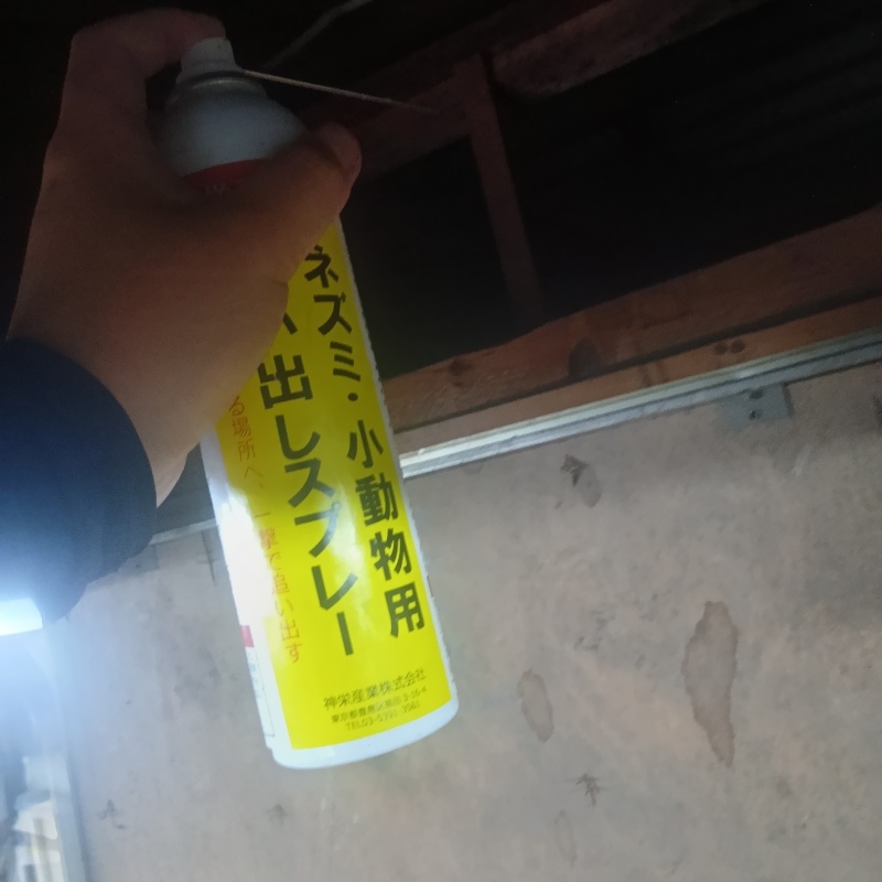 ハクビシン駆除の施工事例（京都府京都市南区久世中久世町）