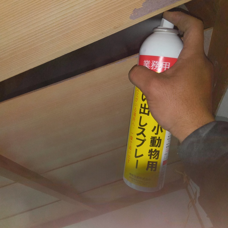 天井のすき間から忌避剤をスプレー