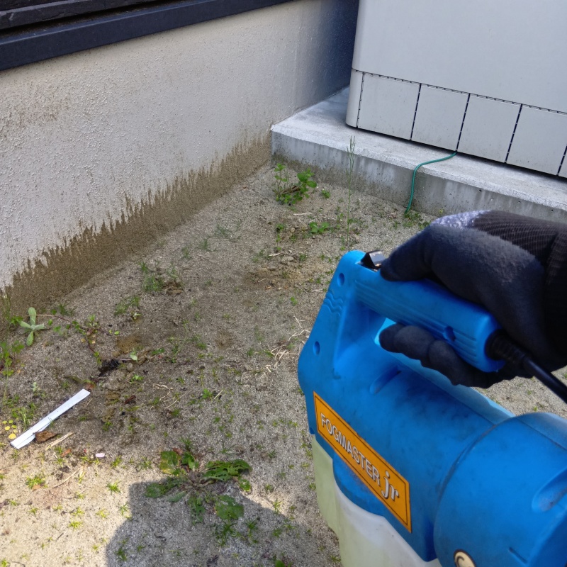 ハクビシン駆除の施工事例（宮城県仙台市泉区向陽台）