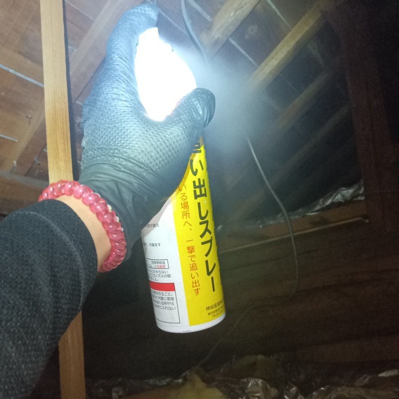屋根裏に忌避剤をスプレー