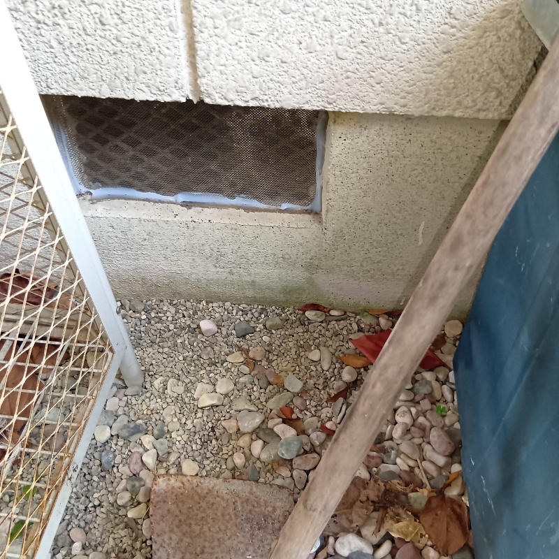 床下換気口をネットとパテで封鎖
