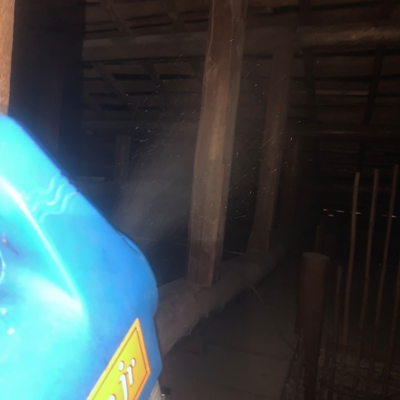 噴霧器で除菌・消臭剤を散布