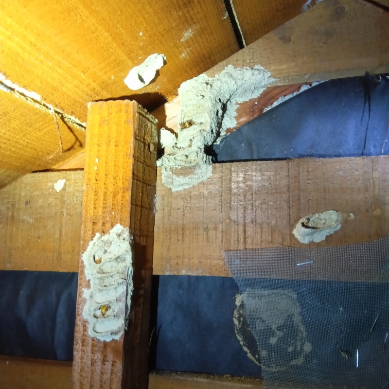 屋根裏に作られた土の塊