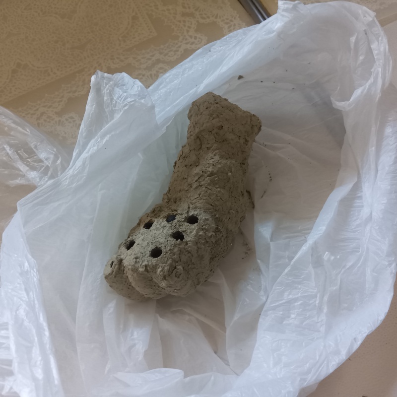 ドロバチの巣を除去した様子