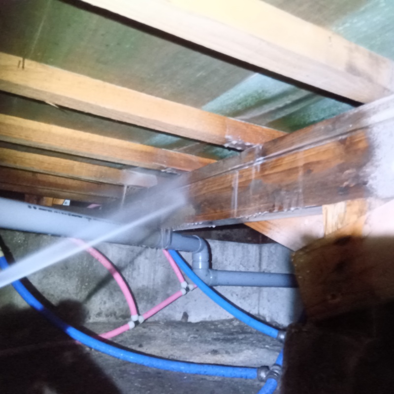 床下の木材にシロアリ駆除剤を散布