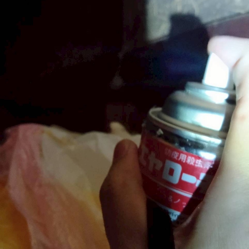 殺虫剤をスプレー