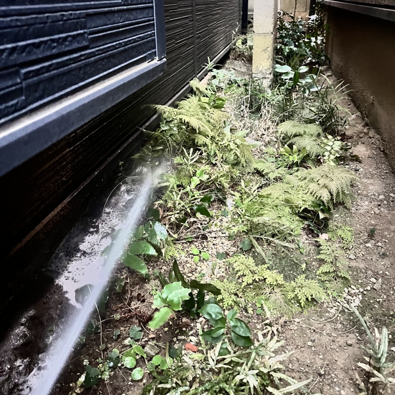 建物まわりにシロアリ駆除剤を散布