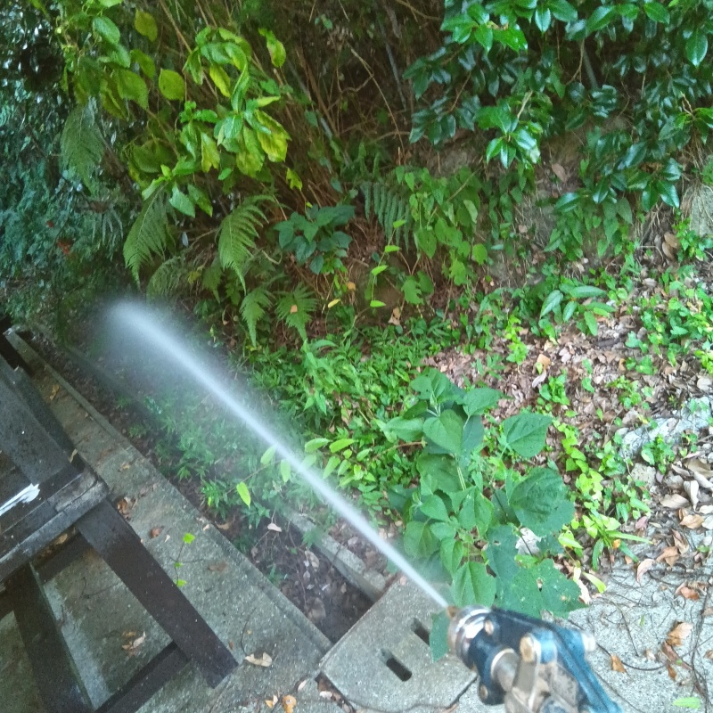 敷地内の地面にシロアリ駆除剤を散布