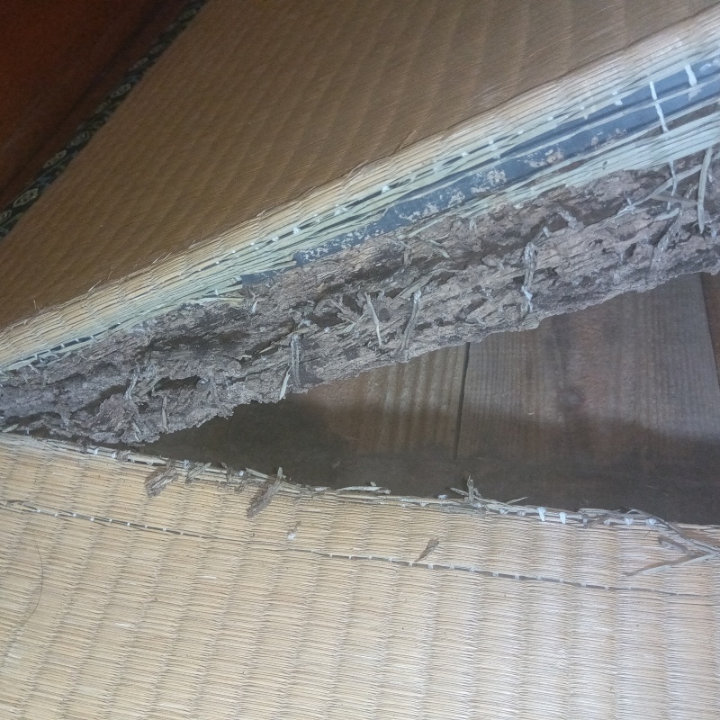 シロアリ駆除の施工事例（長崎県島原市白土桃山）