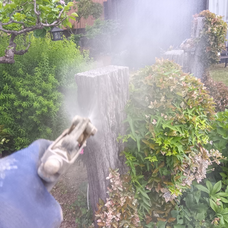 庭の草木にシロアリ駆除剤を散布