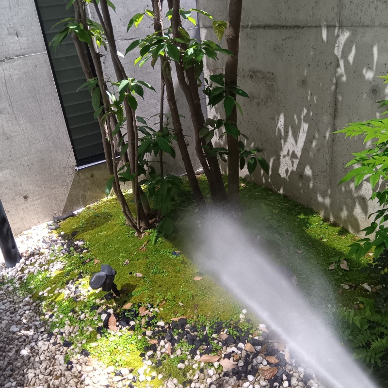 庭木にシロアリ駆除剤を散布