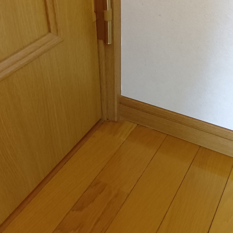 施工箇所となる室内の壁や床