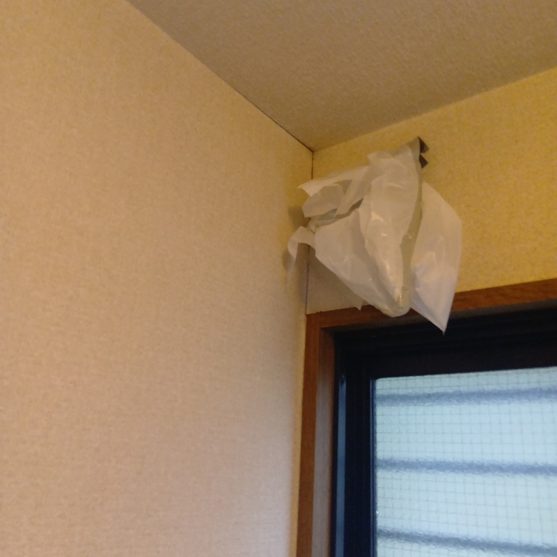 シロアリ駆除の施工事例（神奈川県川崎市多摩区生田）