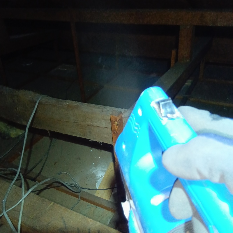 噴霧器で除菌・消臭剤を散布