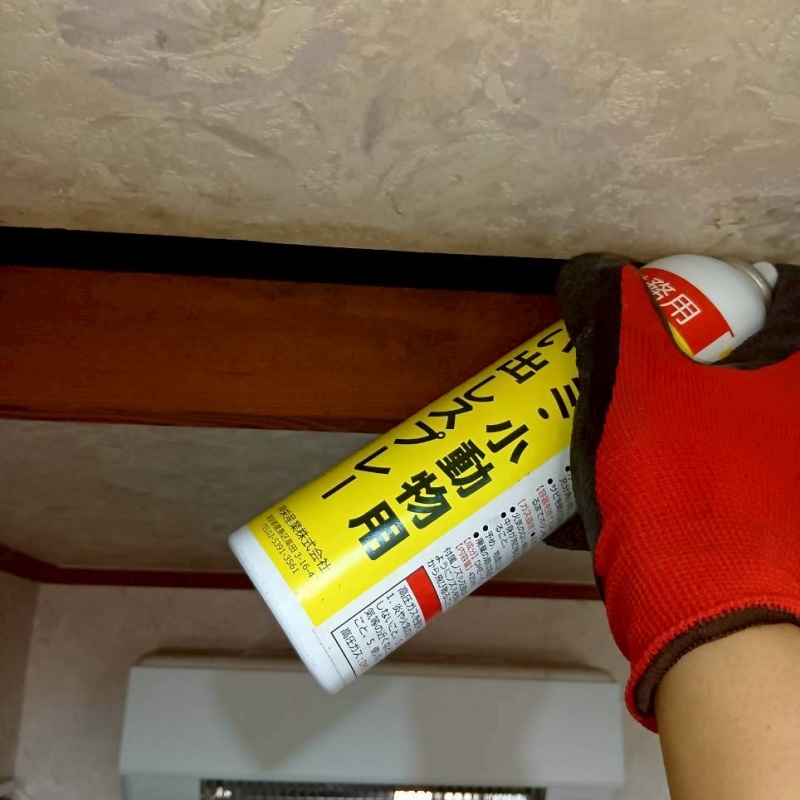 天井裏に忌避剤をスプレー