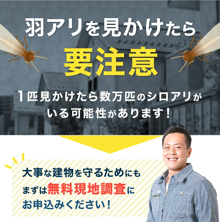羽アリを見かけたら要注意！1匹見かけたら数万匹のシロアリがいる可能性があります！