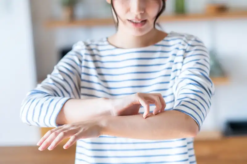 イタチ駆除をしないと起きうるノミ・ダニ被害