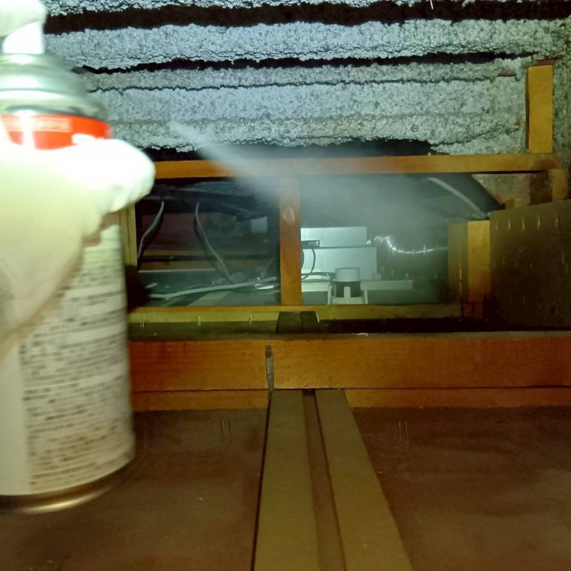 天井裏に殺虫剤を散布