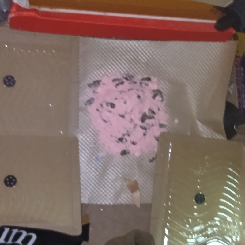 殺鼠剤と粘着シートを仕掛けている様子