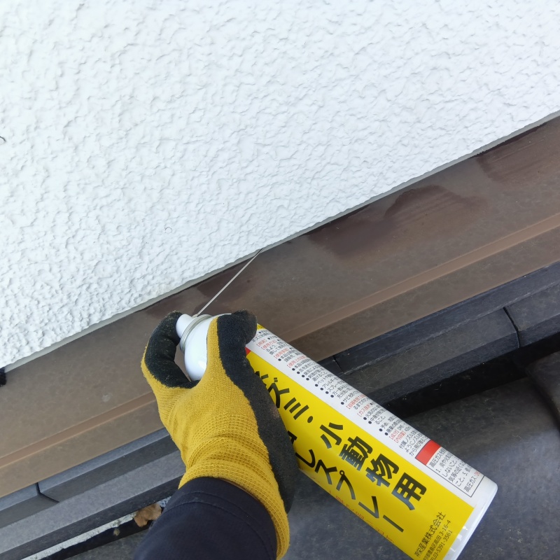 外壁のすき間から忌避剤をスプレー