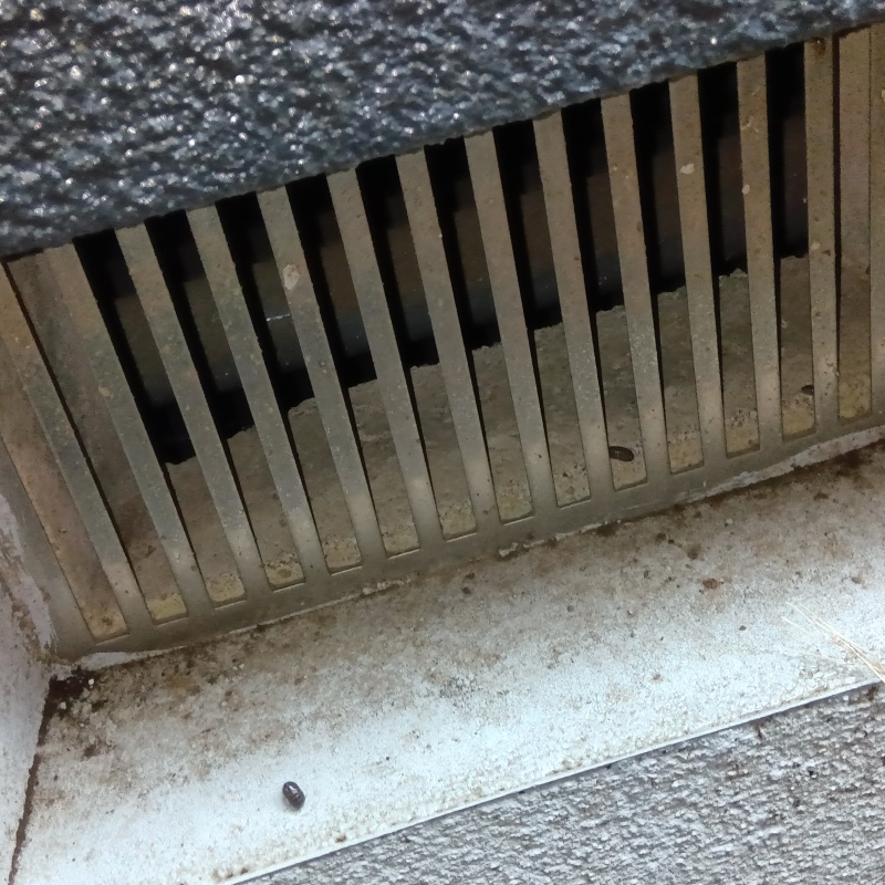 侵入口になっていた床下換気口
