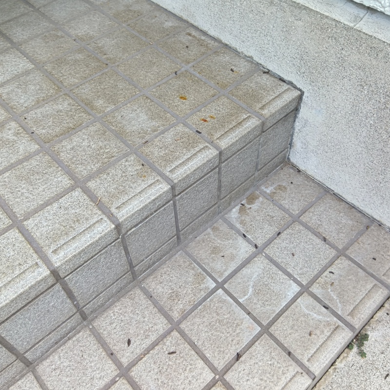 屋外の階段に落ちているフン