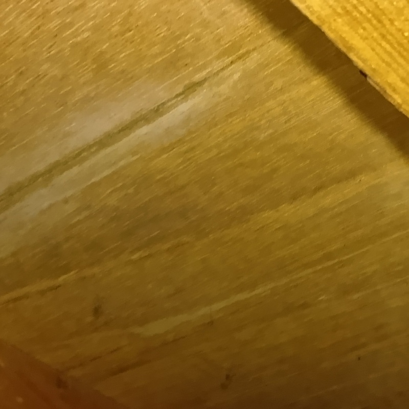 床下の木部にシロアリ被害の痕跡